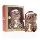 Chocolate Teddy Bear AMZ