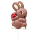 Chocolate lollipop - Bunny with Ladybird