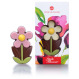 Spring Little Daisy - Chocolade bloem - Madeliefje