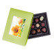 ChocoPostcard - Midi - Green - Chocolates