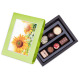 ChocoPostcard Mini Green - Chocolates