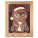 Kerstmis Teddy Beer van chocolade