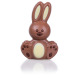 Sweet Bunny - Chocolate Easter Bunny