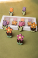 6 Petites Fleurs - 6 Fleurs en chocolat