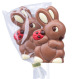 Chocolate lollipop - Bunny with Ladybird
