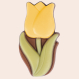 Little Flower Tulip Solo - Chocolate tulip