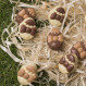 4 chocolade eitjes - Happy Easter - Chocolade figuurtjes